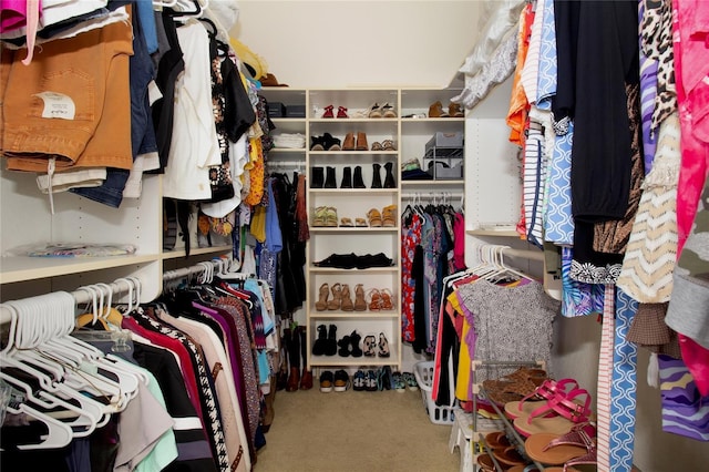 walk in closet featuring carpet flooring