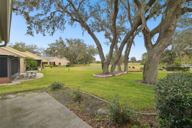 view of yard featuring a patio area