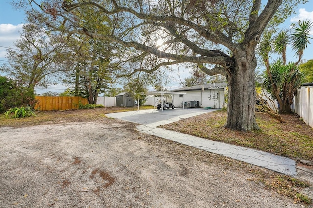 view of yard featuring a patio and a storage unit