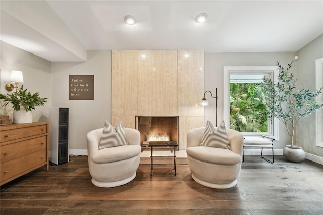 living area with a large fireplace and dark wood-type flooring