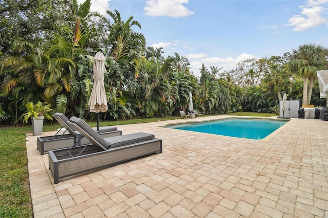 view of swimming pool with a patio