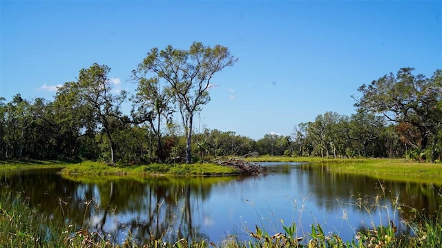 view of water feature