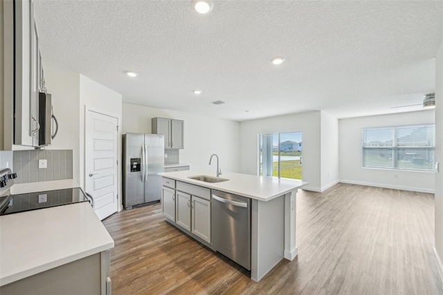 kitchen featuring sink, a center island with sink, gray cabinetry, and stainless steel appliances