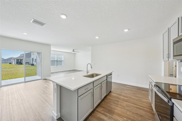 kitchen with light hardwood / wood-style flooring, sink, gray cabinets, an island with sink, and stainless steel appliances