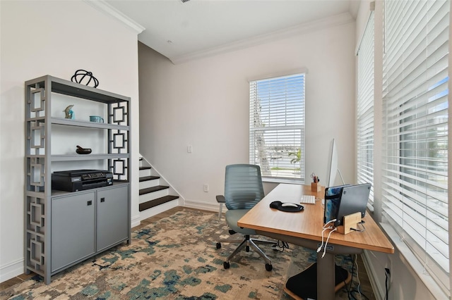 3027 Bermuda Sloop Cir, Ruskin, FL 33570 - office featuring ornamental molding, baseboards, and wood finished floors