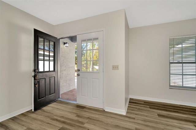 foyer entrance with plenty of natural light and hardwood / wood-style floors