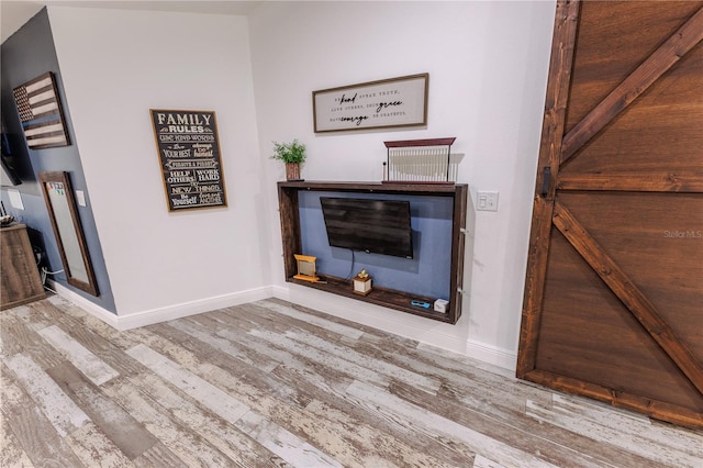 room details with hardwood / wood-style flooring