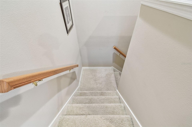 stairway with carpet floors