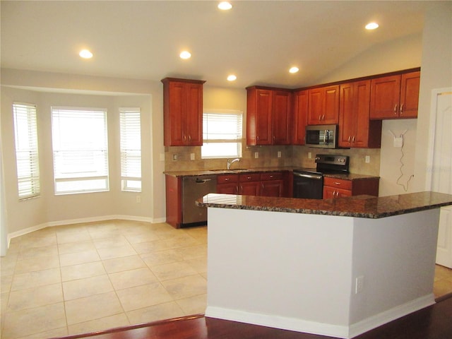 kitchen with vaulted ceiling, a wealth of natural light, stainless steel appliances, and sink