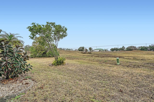 view of yard featuring a rural view