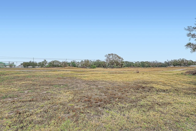 view of yard with a rural view