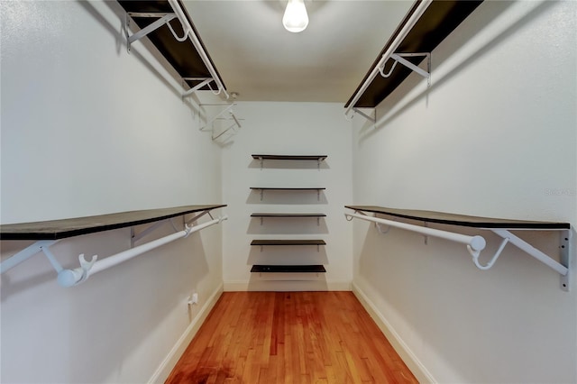 spacious closet with hardwood / wood-style floors