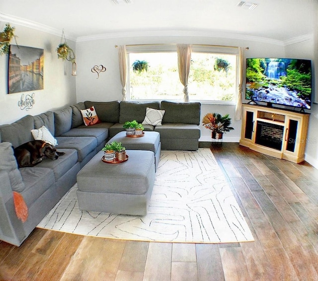 living room with crown molding and wood-type flooring