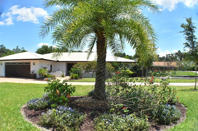 225 Temple Cir, Eustis, FL 32726 - ranch-style house featuring a front lawn, an attached garage, and stucco siding