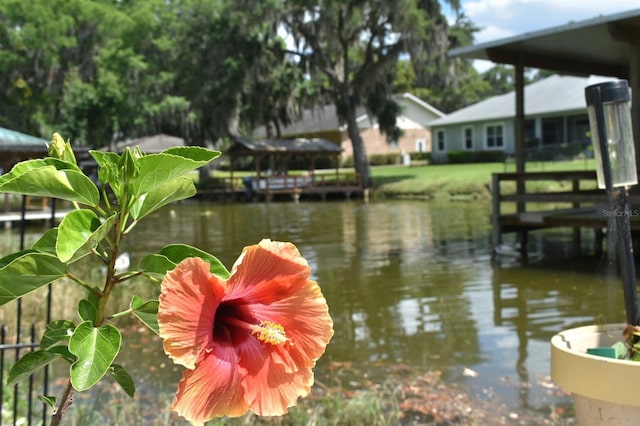 225 Temple Cir, Eustis, FL 32726 - dock area featuring a water view