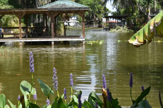 225 Temple Cir, Eustis, FL 32726 - dock with a water view