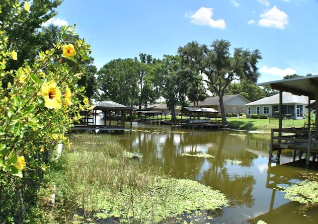 225 Temple Cir, Eustis, FL 32726 - dock with a water view