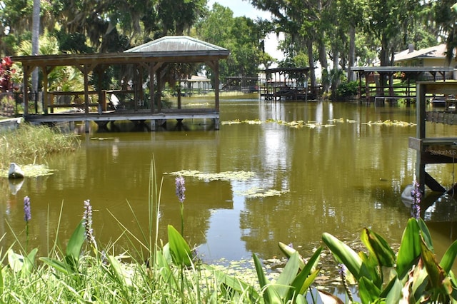 225 Temple Cir, Eustis, FL 32726 - dock with a water view