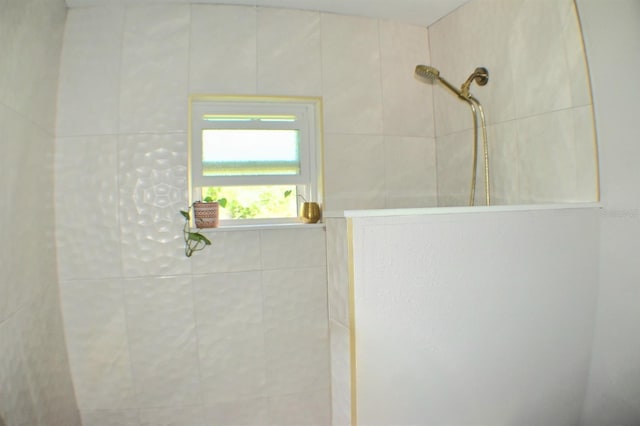 225 Temple Cir, Eustis, FL 32726 - bathroom featuring a tile shower