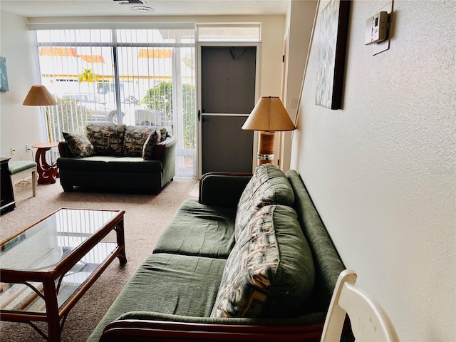 living room with carpet