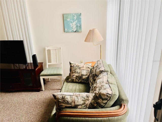 living area with carpet flooring