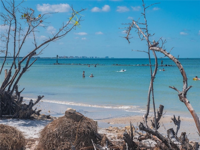 property view of water featuring a view of the beach