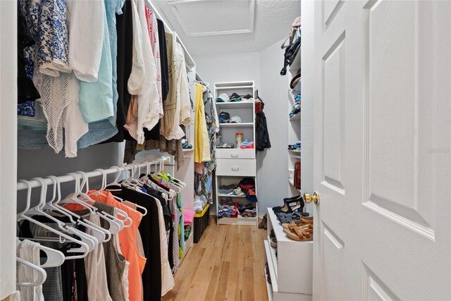 spacious closet featuring light hardwood / wood-style floors