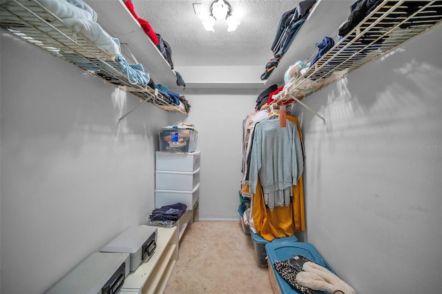 walk in closet featuring light carpet