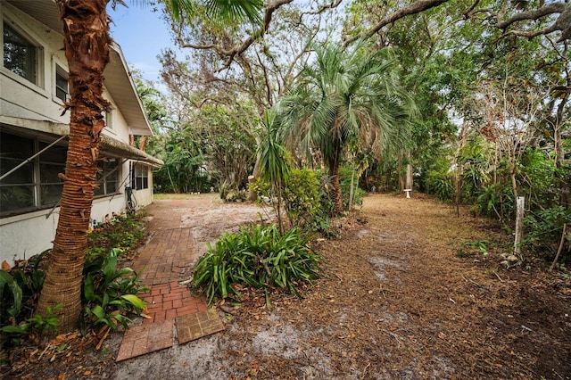 view of yard with a patio area