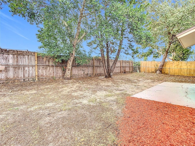 view of yard with a patio area