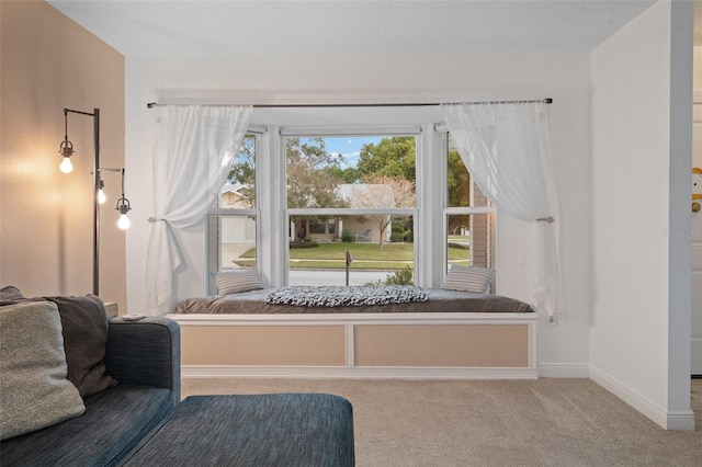 sitting room featuring carpet flooring