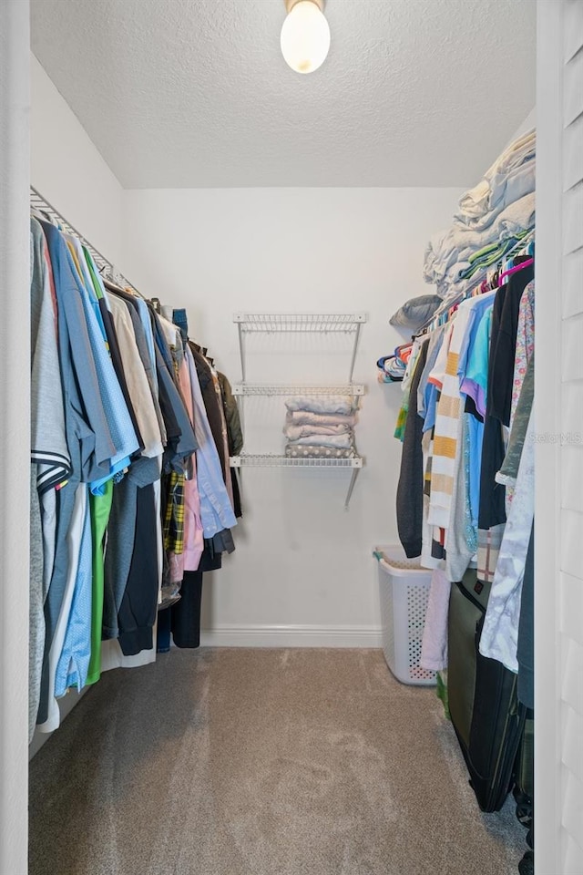 walk in closet featuring carpet floors