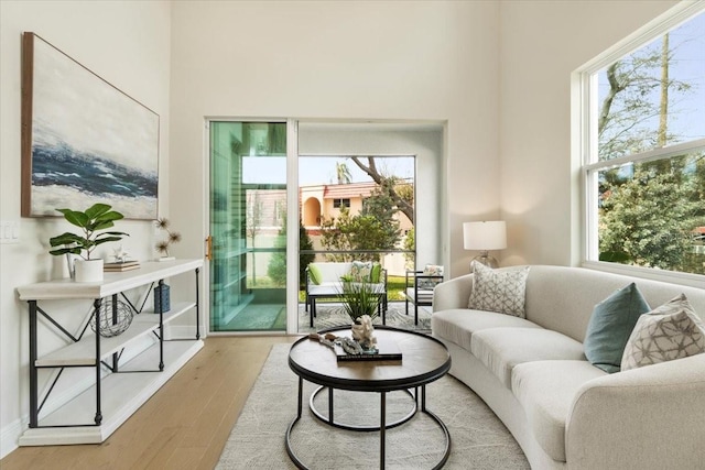 living room with light hardwood / wood-style flooring