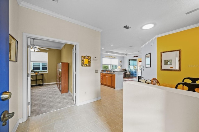 kitchen featuring ceiling fan and ornamental molding