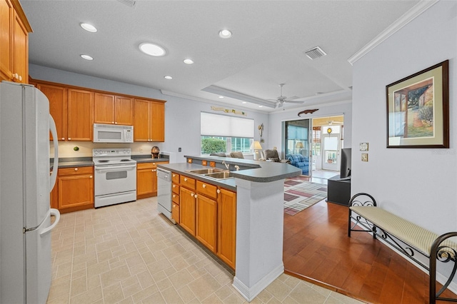 kitchen with white appliances, sink, ornamental molding, ceiling fan, and a tray ceiling