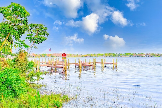 dock area featuring a water view