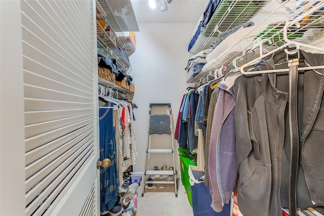 spacious closet with carpet flooring