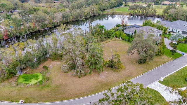 Listing photo 3 for 17041 Comunidad De Avila, Lutz FL 33548