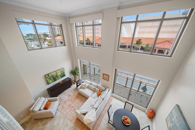 living room featuring a high ceiling