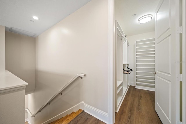 stairway with hardwood / wood-style flooring