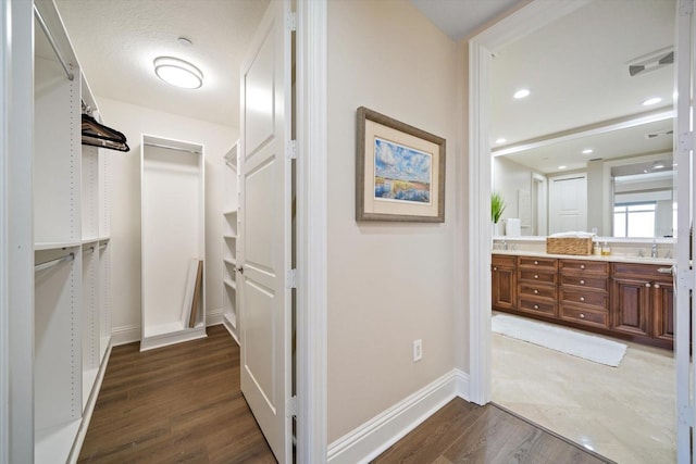 walk in closet with sink and hardwood / wood-style flooring