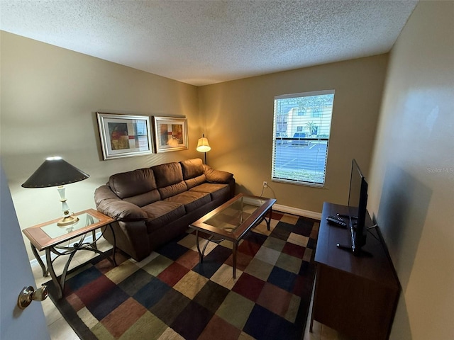 living room featuring a textured ceiling