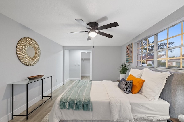 bedroom with ceiling fan, a walk in closet, a closet, and light hardwood / wood-style flooring