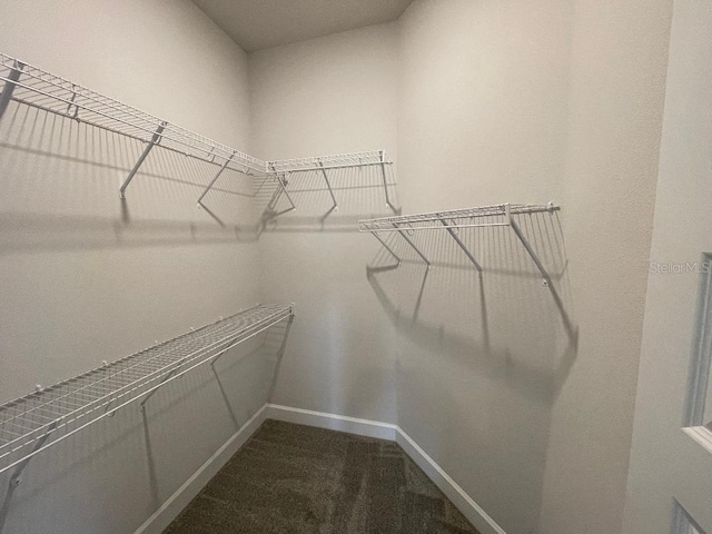 spacious closet with dark colored carpet