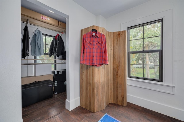 interior space featuring dark wood-type flooring and a wealth of natural light