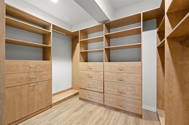 spacious closet with light wood-type flooring