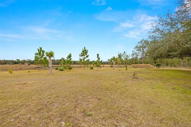 view of yard featuring a rural view