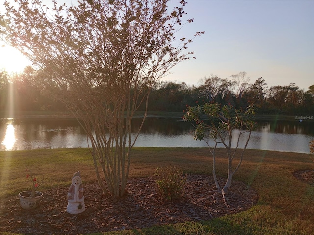 view of water feature