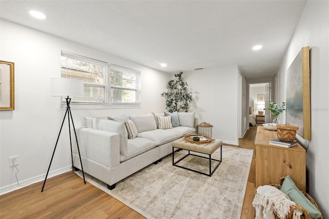 living room with light wood-type flooring