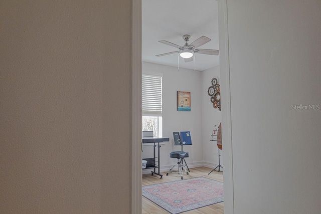 office featuring ceiling fan and light wood-type flooring